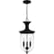 Quoizel Havana Outdoor Hanging 3 Lights Earth Black HVN1910EK - alternate 4